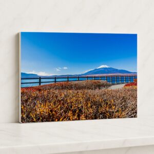 72.5×60.5cm 油畫框20F
